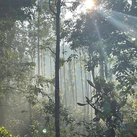 فيلا Rai'S Coorg Cave House ماديكيري المظهر الخارجي الصورة