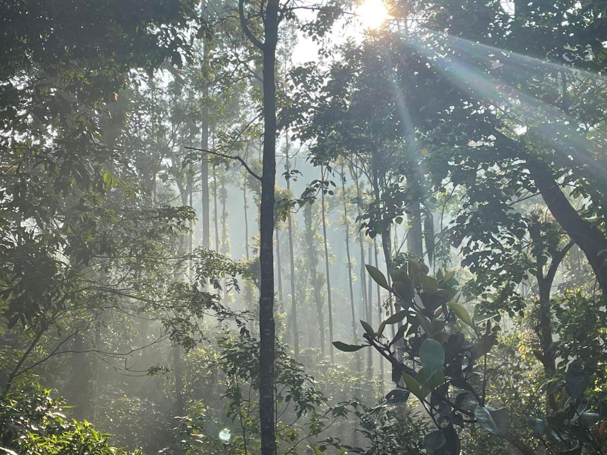 فيلا Rai'S Coorg Cave House ماديكيري المظهر الخارجي الصورة